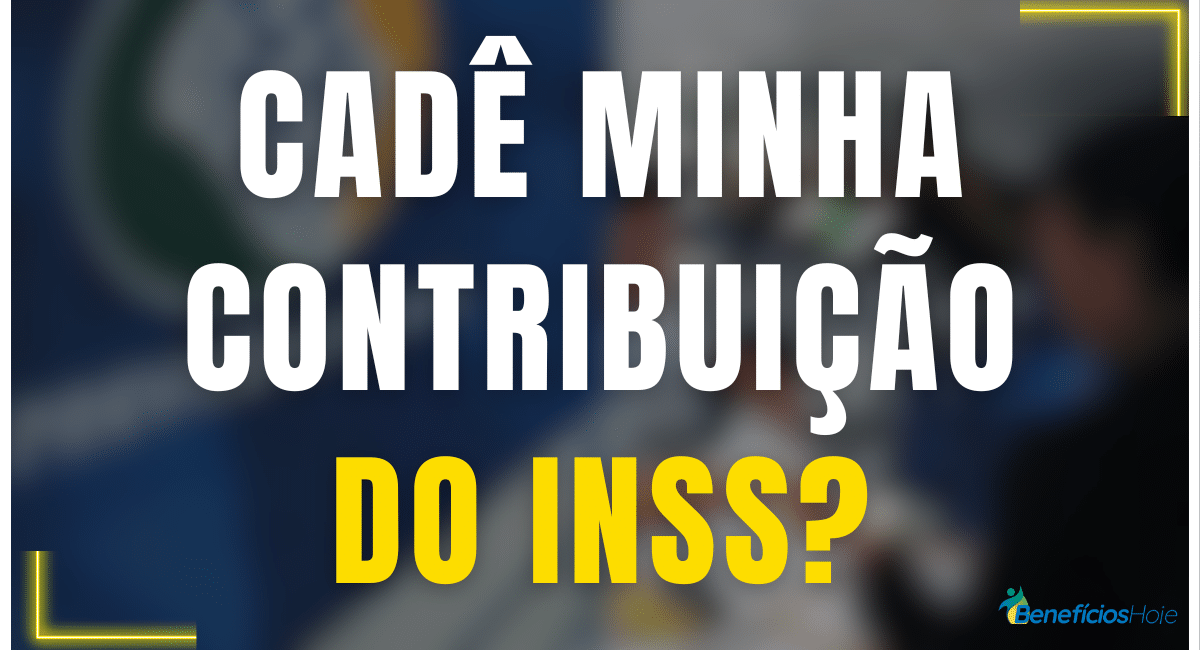 contribuição do inss no cnis