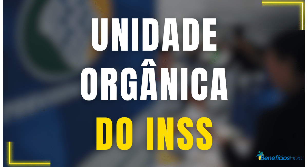 O que é unidade orgânica do INSS? Onde encontrá-la?