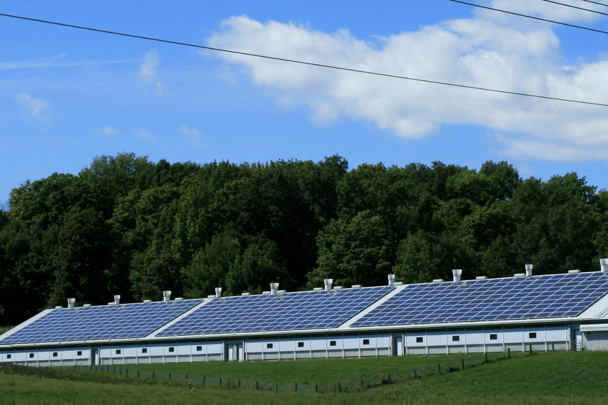 Energia Solar. (Foto: Pixabay)