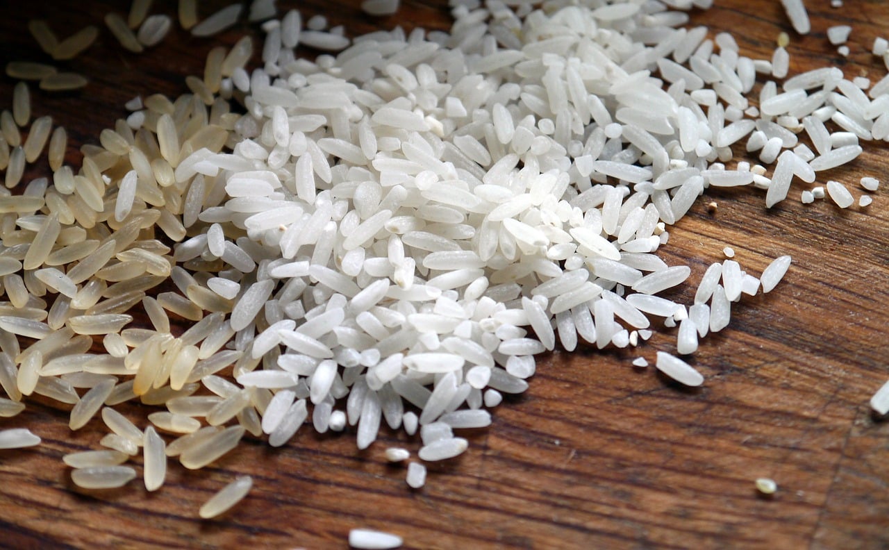 rice 498688 1280