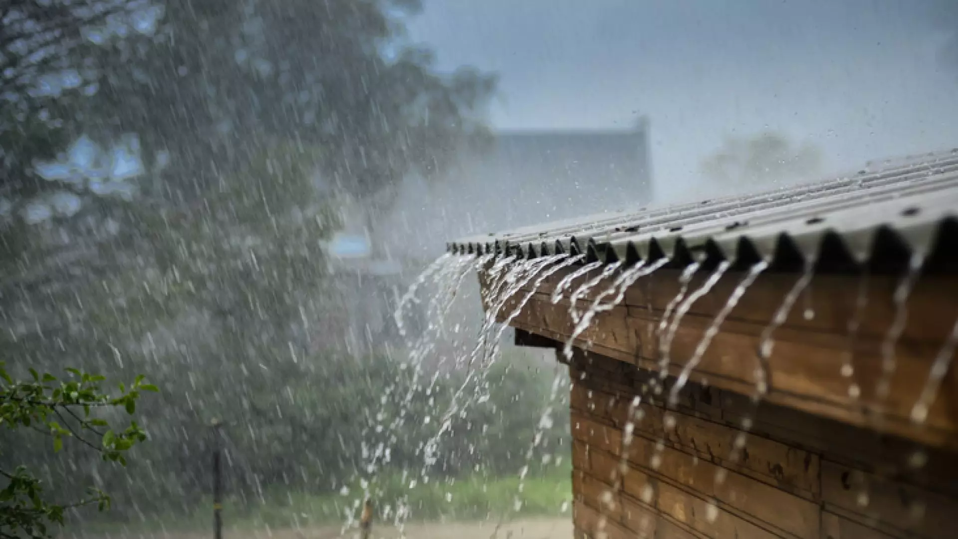 Frente Fria em agosto