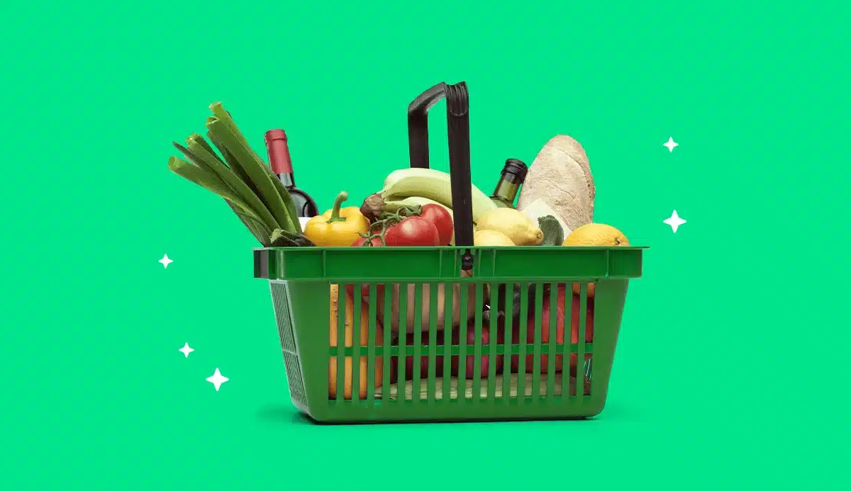 Vale alimentacao do governo 1