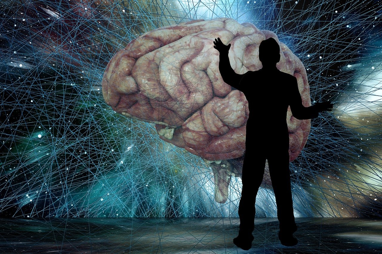 brain 6564520 1280