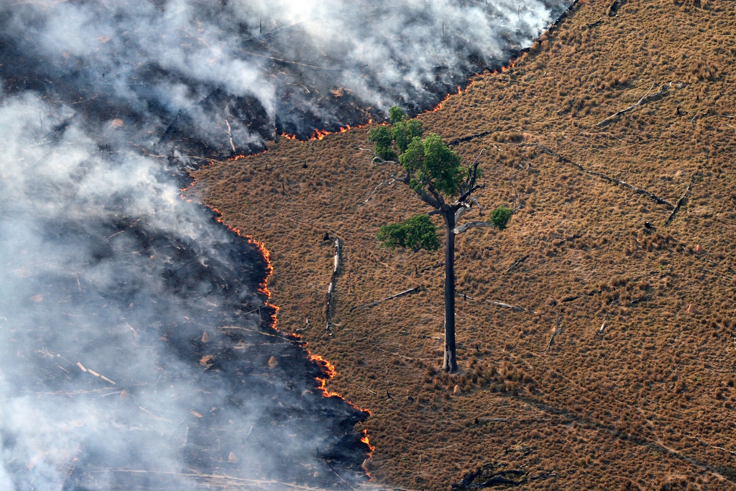 Incendio