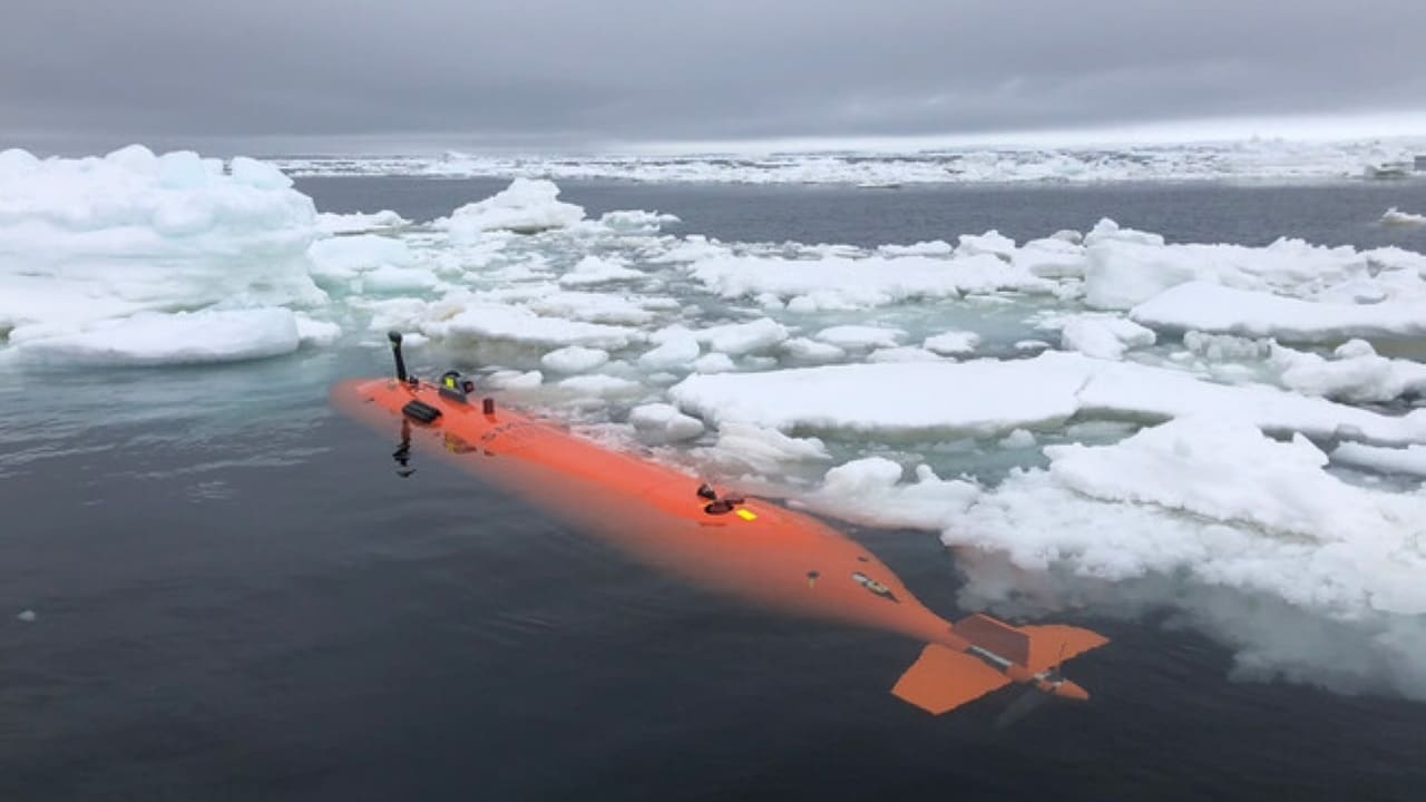 Submarino 1