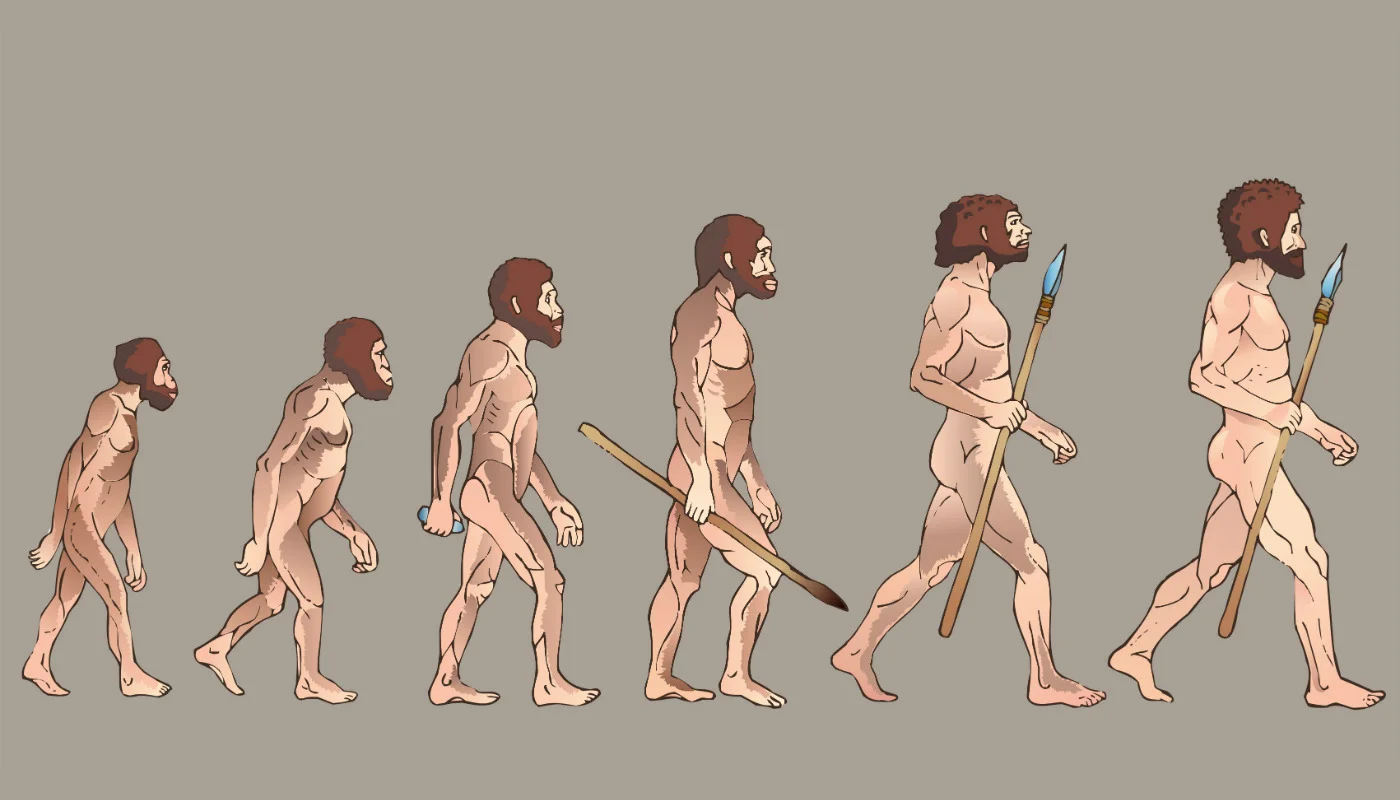 humanas