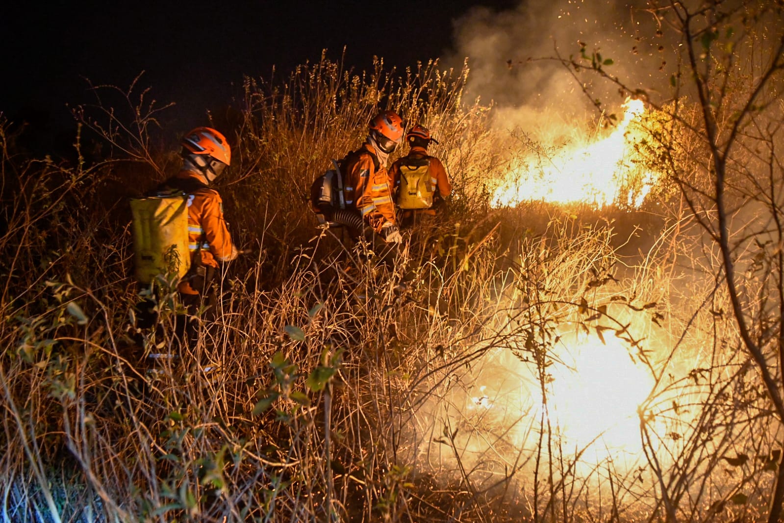 (Foto: Bruno Rezende / SecomMS)