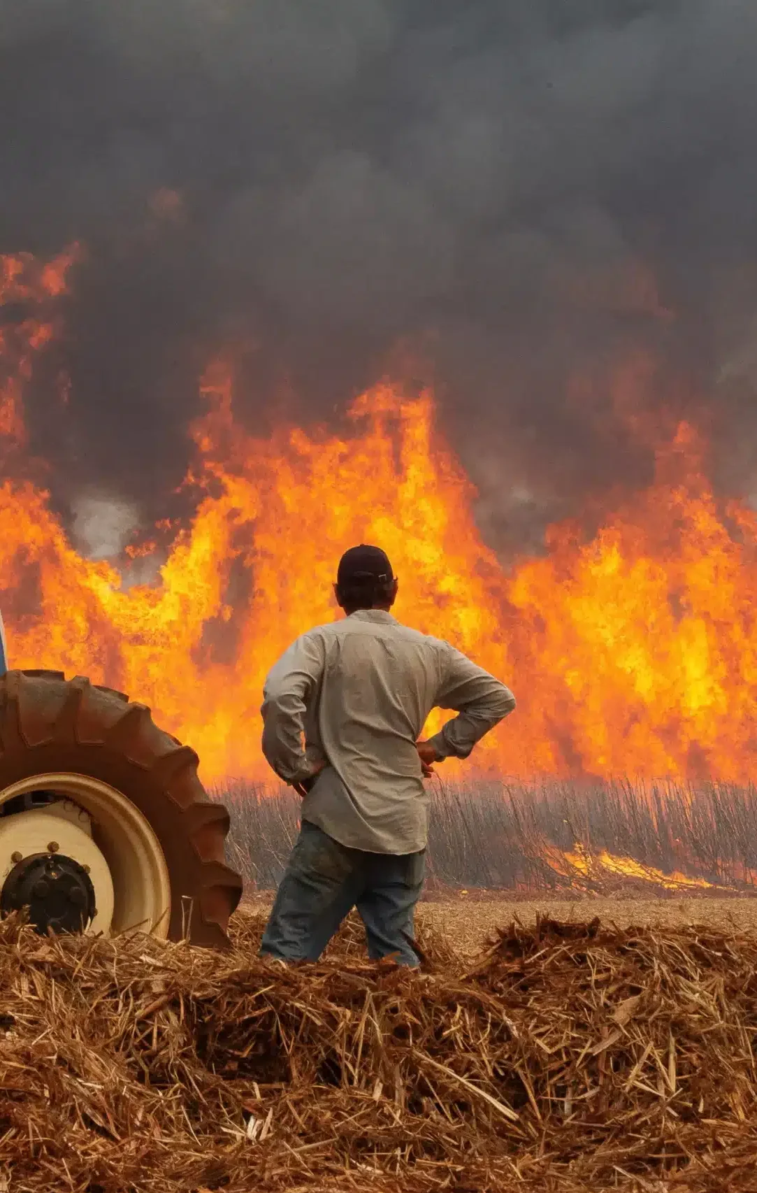 queimadas 1 scaled e1724692104727