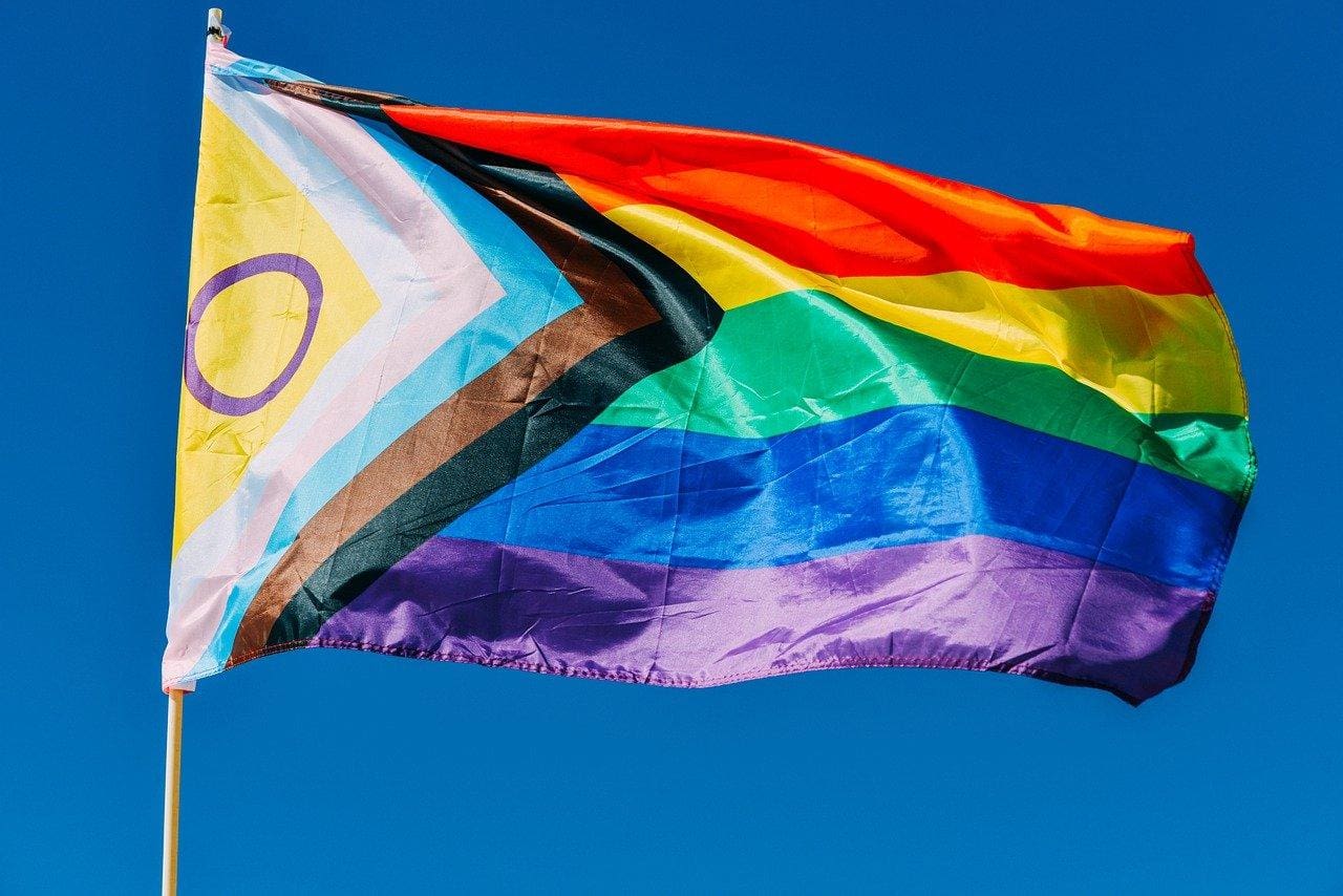 brasil lgbt lgbtqia orgulho lgbtqia genero 1708504999