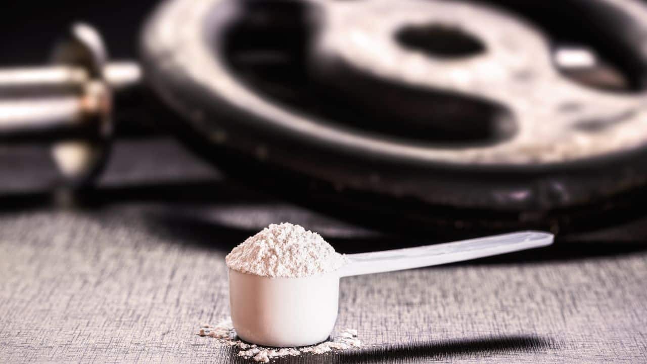 scoop de creatina em po e anilhas